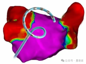 WechatIMG947-300x224.png